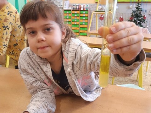 Obrázek galerie  8921