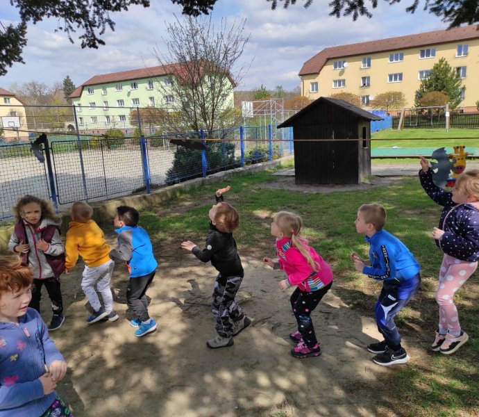 Obrázek galerie  10498