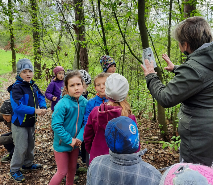 Obrázek galerie  10886