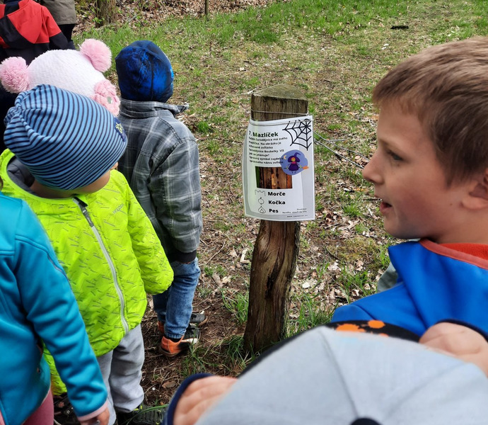 Obrázek galerie  10897