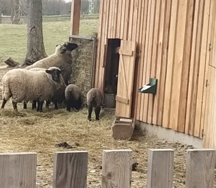 Obrázek galerie  10652