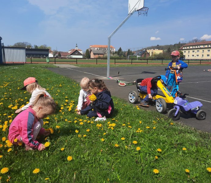 Obrázek galerie  10664