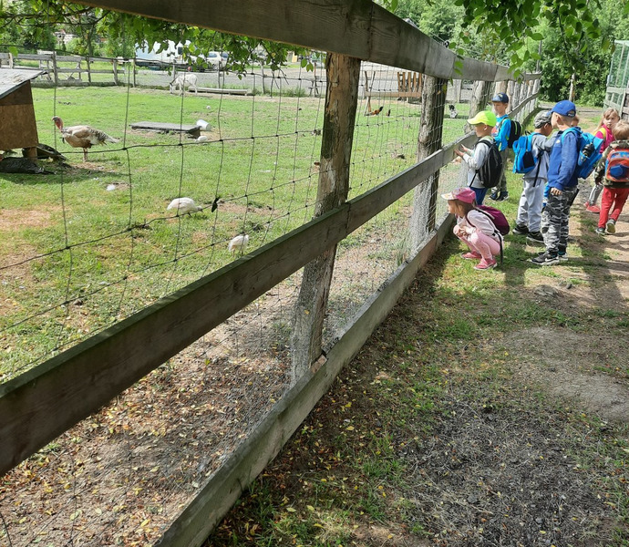 Obrázek galerie  10785