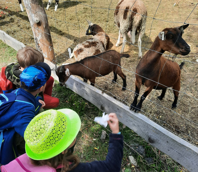 Obrázek galerie  10789