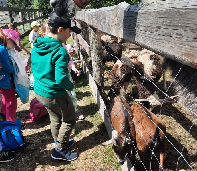 Obrázek galerie  10805