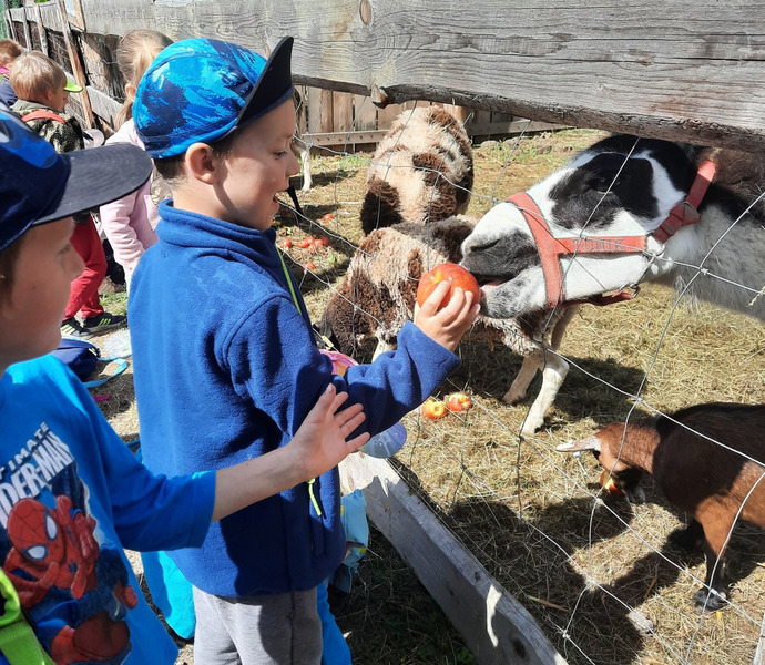 Obrázek galerie  10806