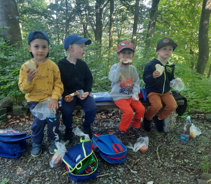 Obrázek galerie  11208