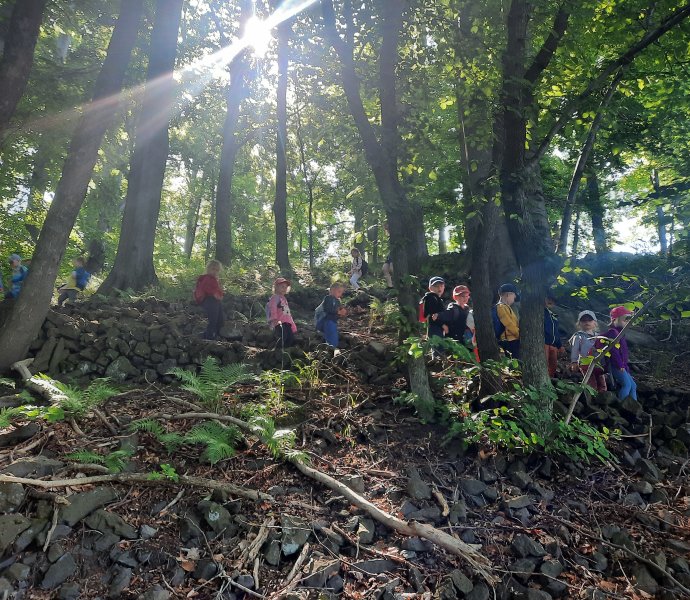 Obrázek galerie  11213