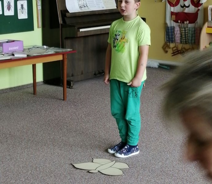 Obrázek galerie  11134