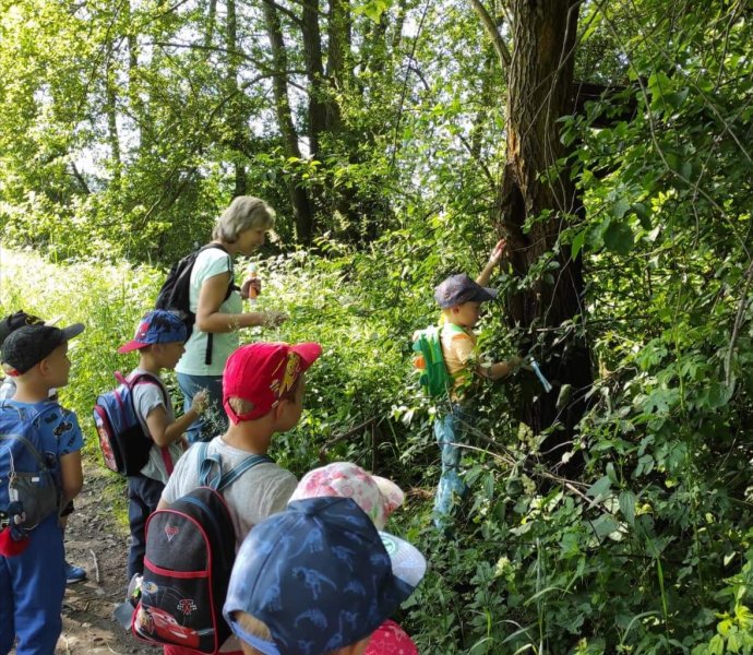 Obrázek galerie  11795