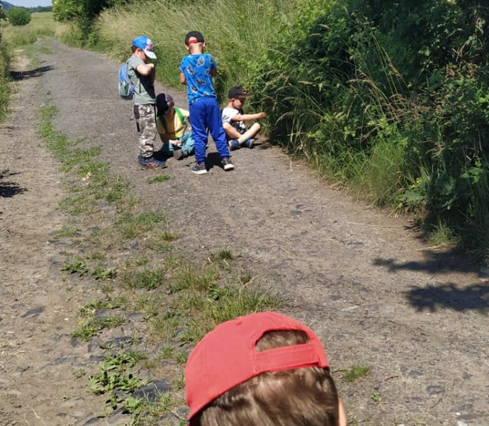 Obrázek galerie  11822