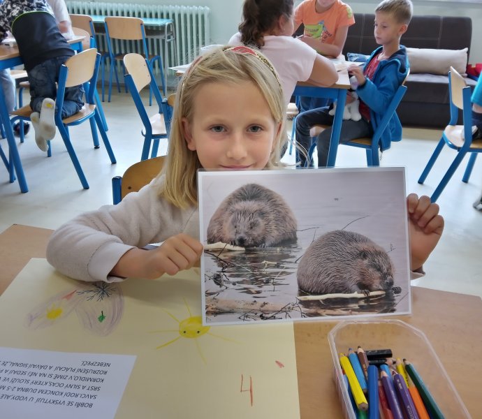 Obrázek galerie  12229