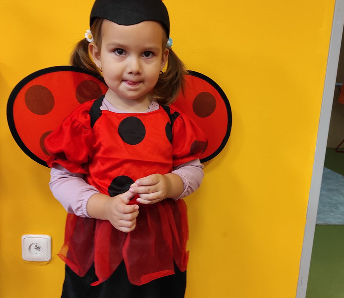 Obrázek galerie  12629