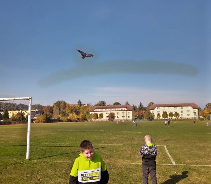 Obrázek galerie  12670