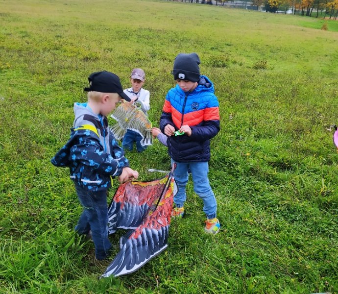 Obrázek galerie  12772