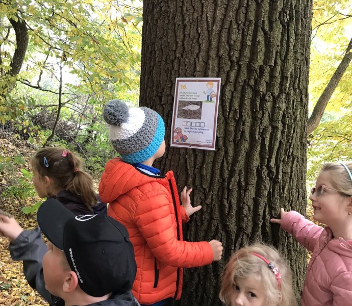 Obrázek galerie  12896