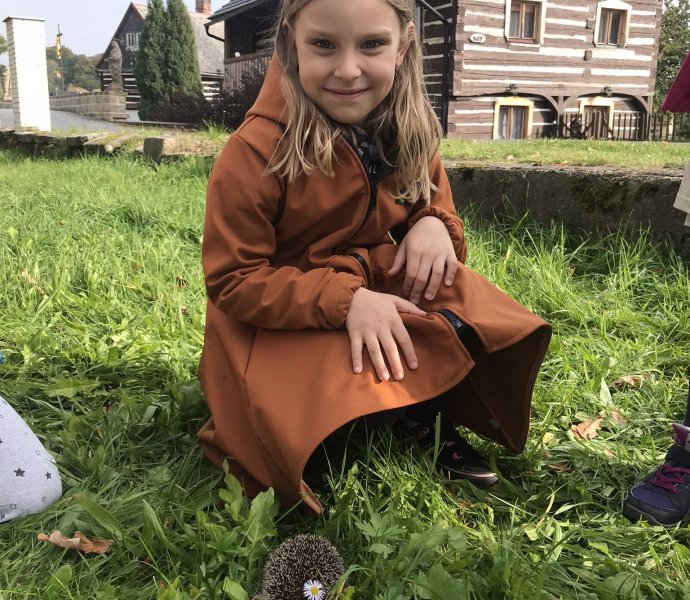 Obrázek galerie  12909