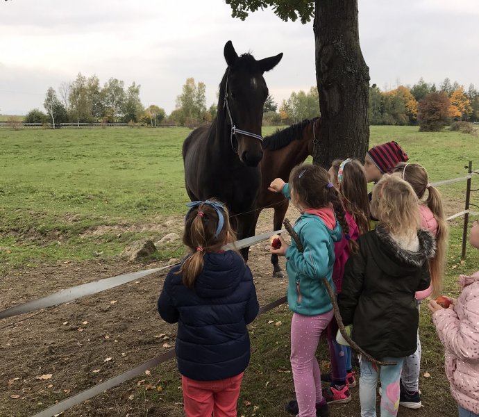 Obrázek galerie  12914