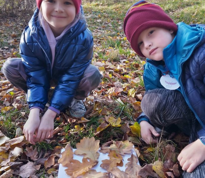 Obrázek galerie  12989