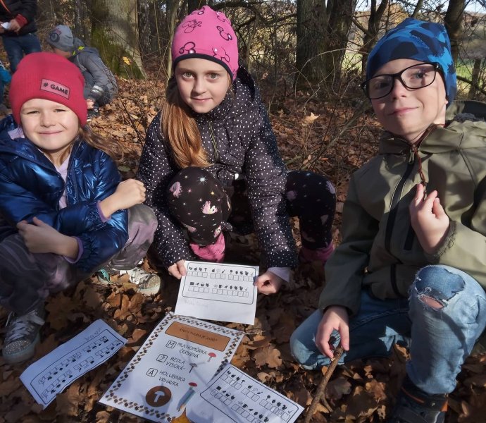 Obrázek galerie  12993