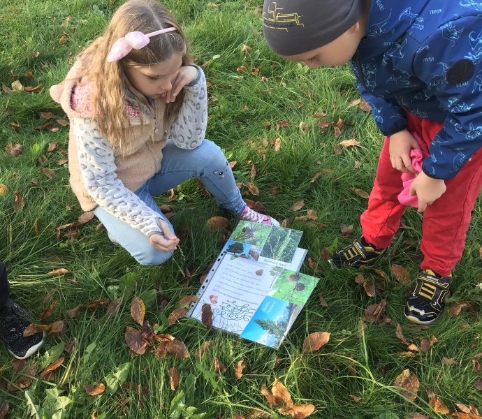 Obrázek galerie  13053