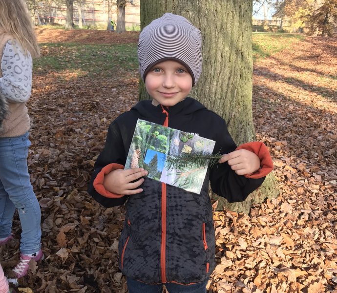 Obrázek galerie  13059