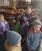 Obrázek galerie  13105