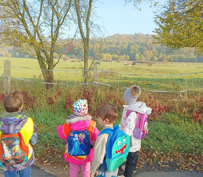 Obrázek galerie  13162