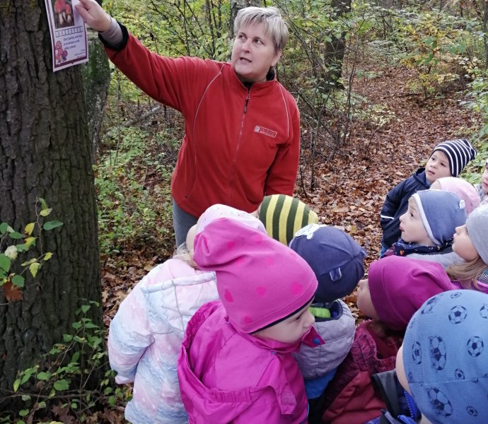 Obrázek galerie  13491