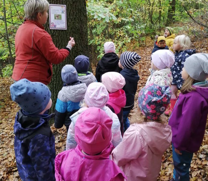 Obrázek galerie  13492