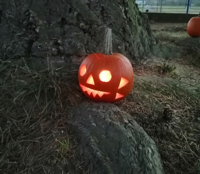 Obrázek galerie  13679