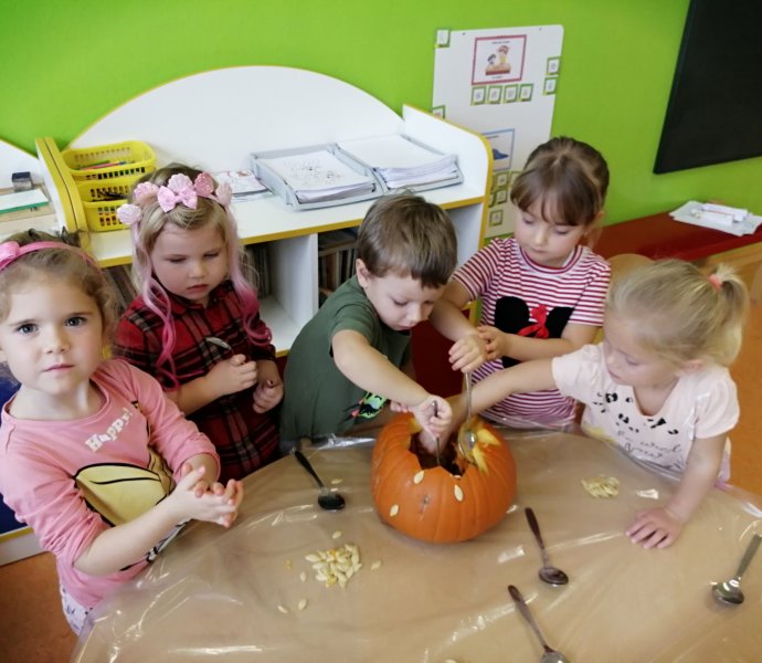 Obrázek galerie  13701