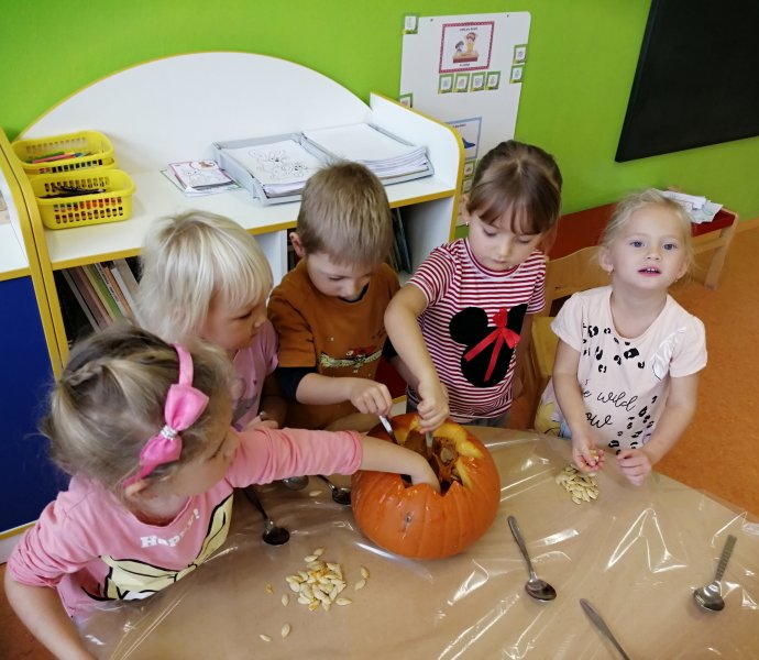 Obrázek galerie  13702