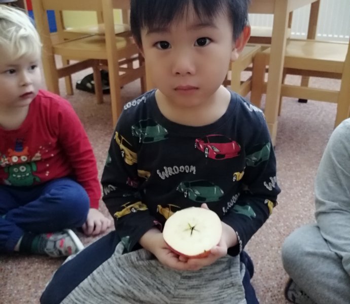 Obrázek galerie  13941