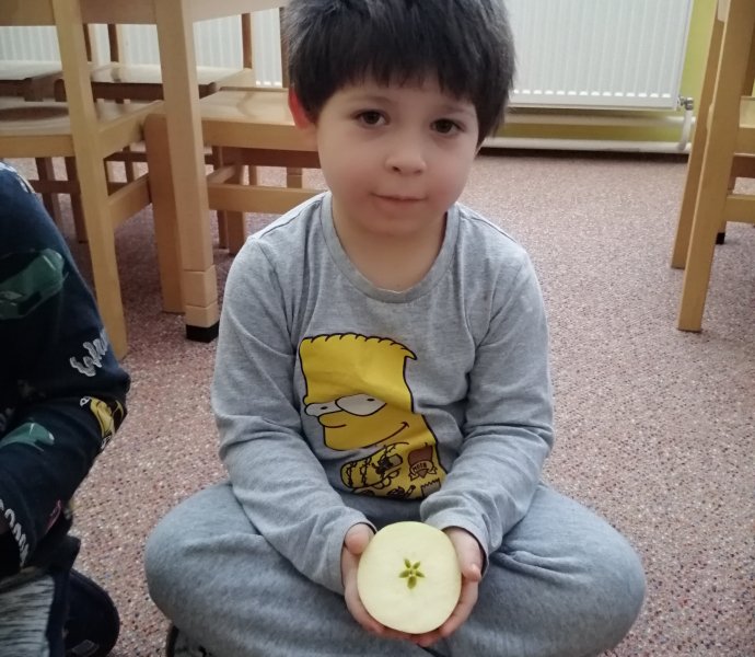 Obrázek galerie  13942