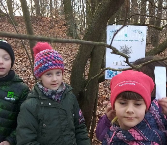 Obrázek galerie  14083