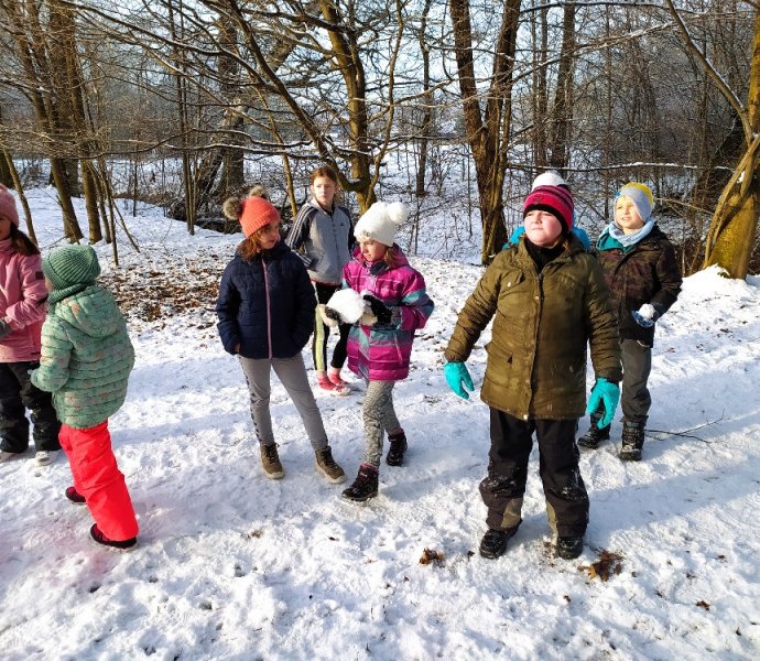 Obrázek galerie  14183