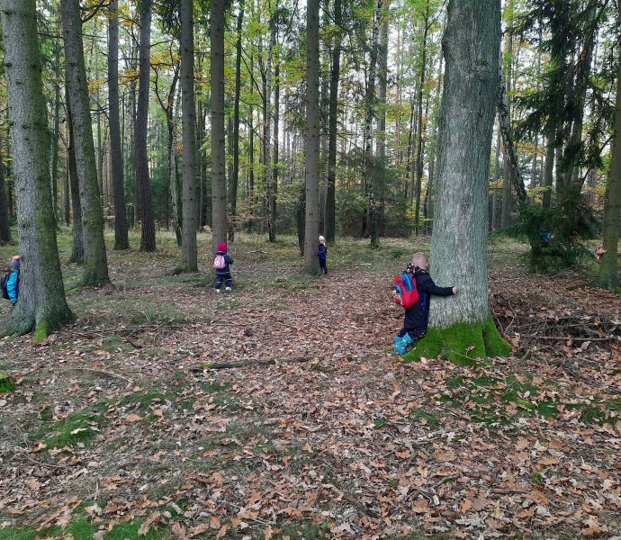 Obrázek galerie  14377