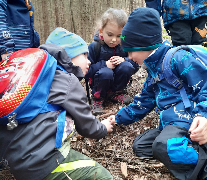 Obrázek galerie  14392