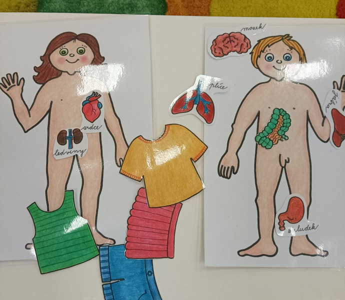 Obrázek galerie  14725