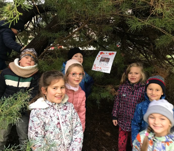 Obrázek galerie  14848