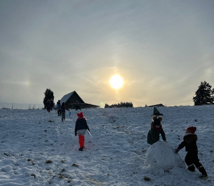 Obrázek galerie  14895