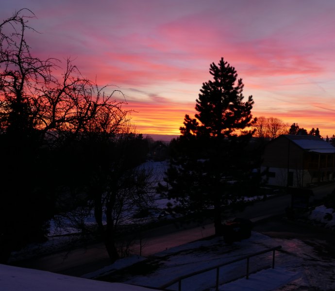 Obrázek galerie  15529