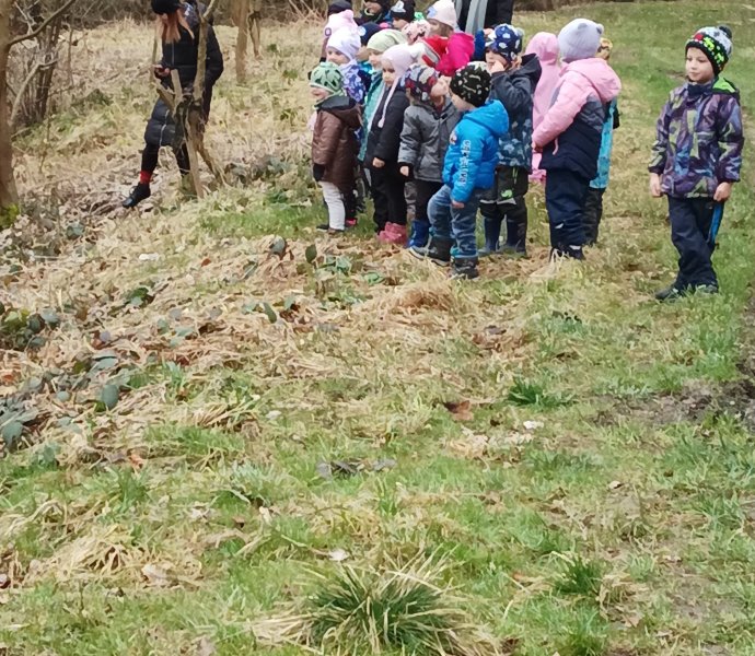 Obrázek galerie  16010