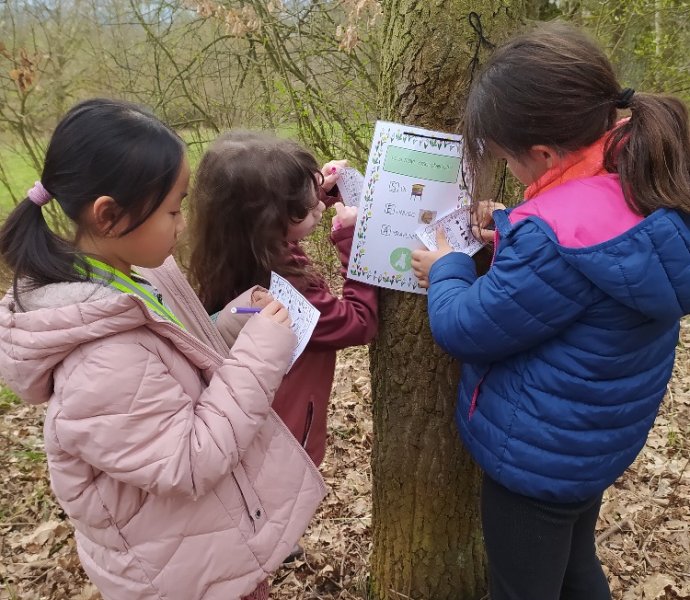 Obrázek galerie  16056