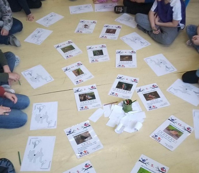 Obrázek galerie  16176