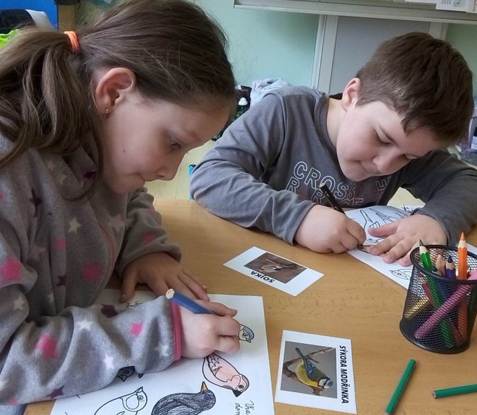 Obrázek galerie  16184