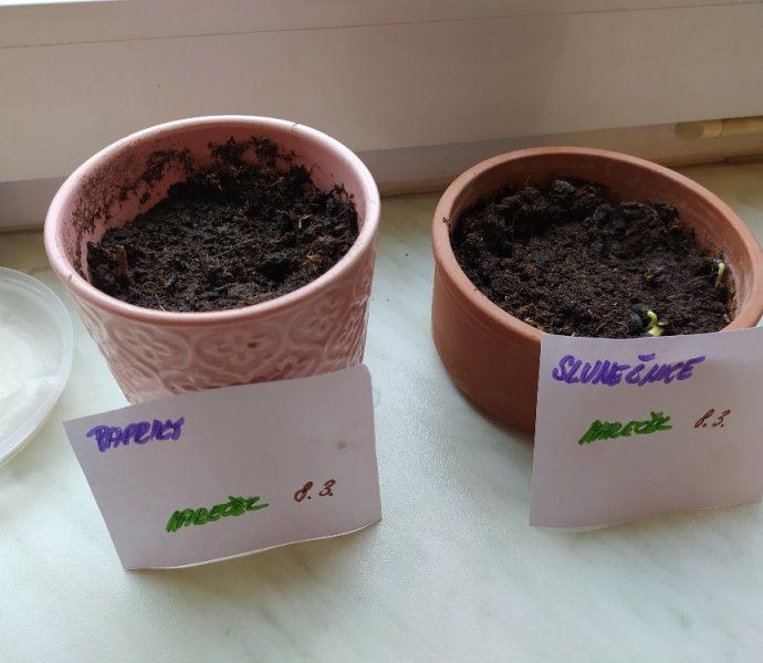 Obrázek galerie  16186