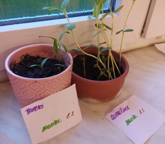 Obrázek galerie  16206