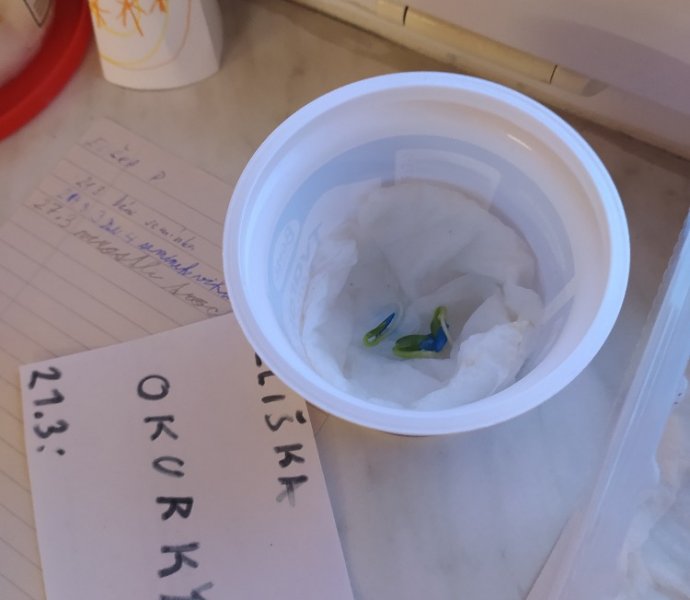 Obrázek galerie  16212